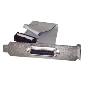 40cm マザーボードピンヘッダー接続パラレル(LPT)ポート増設ケーブル PCIブラケット付き DB25 メス - IDCリボン/フラットケーブル(26ピン) (40cm マザーボードピンヘッダー接続パラレル(LPT)ポート増設ケーブル PCIブラケット付き DB25 メス - IDCリボン/フラットケーブル(26ピン))